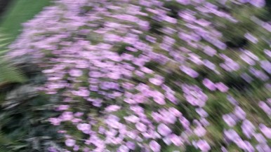 What dance feels like, when you're 5.