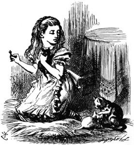 'Now, Kitty, let's consider who it was that dreamed it all. This is a serious question, my dear, and you should not go on licking your paw like that— as if Dinah hadn't washed you this morning! You see, Kitty, it must have been either me or the Red King. He was part of my dream, of course— but then I was part of his dream, too! Was it the Red King, Kitty? John Tenniel 