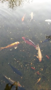 The texture of a GP's waiting room. Do you want a chlamydia test with that? 