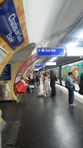 My one and only train photo. It might have been taken by accident, or it might have been of the little white dog. 