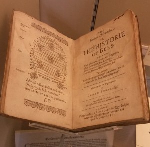 When it comes to matriarchal civilisations bees have an edge. 'The Historie of Bees' by Charles Butler, 17th century